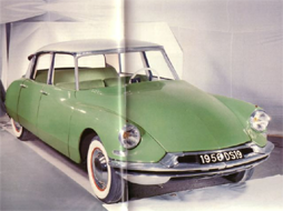 Échantillon vert cru